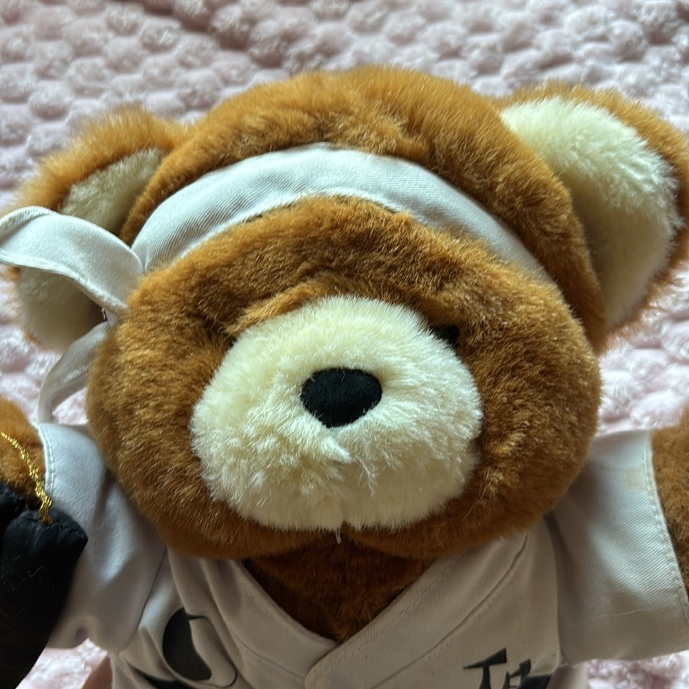 Kung Fu Bear - Picture 4 of 8